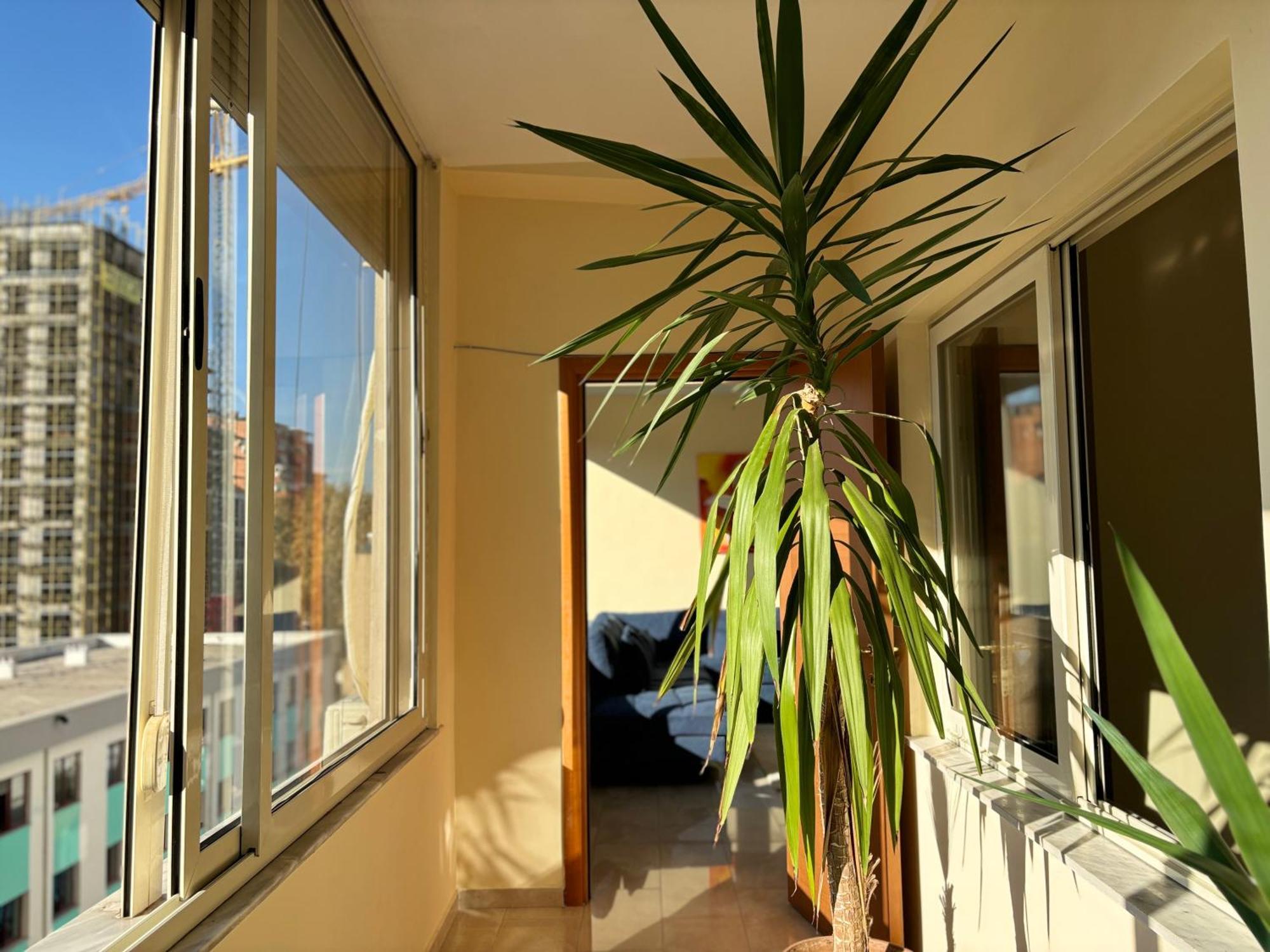 Tam 2Bdr Center Taiwan Apartment Tirana Bagian luar foto
